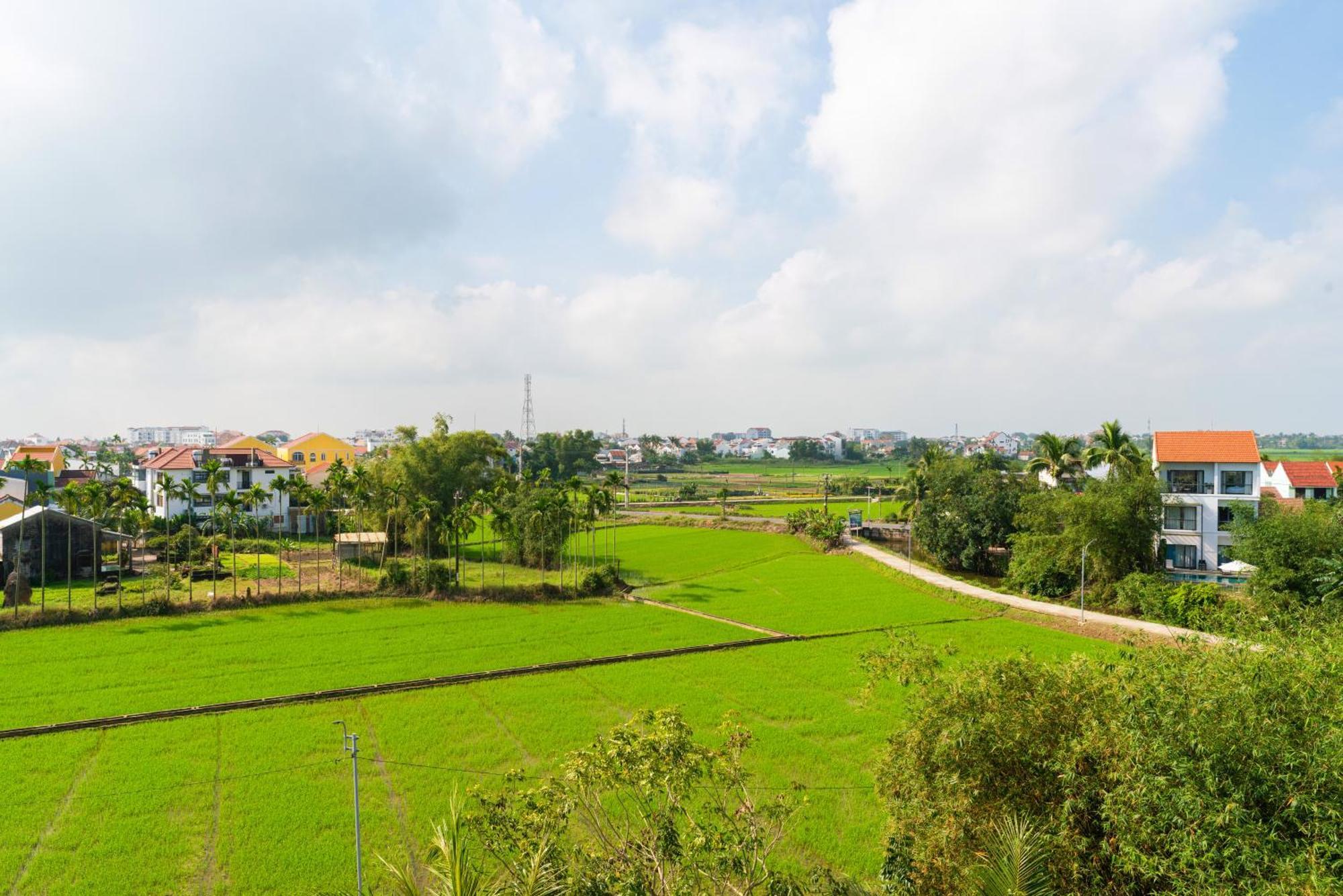 Hoi An Pinus Boutique Hotell Tan Thanh Eksteriør bilde
